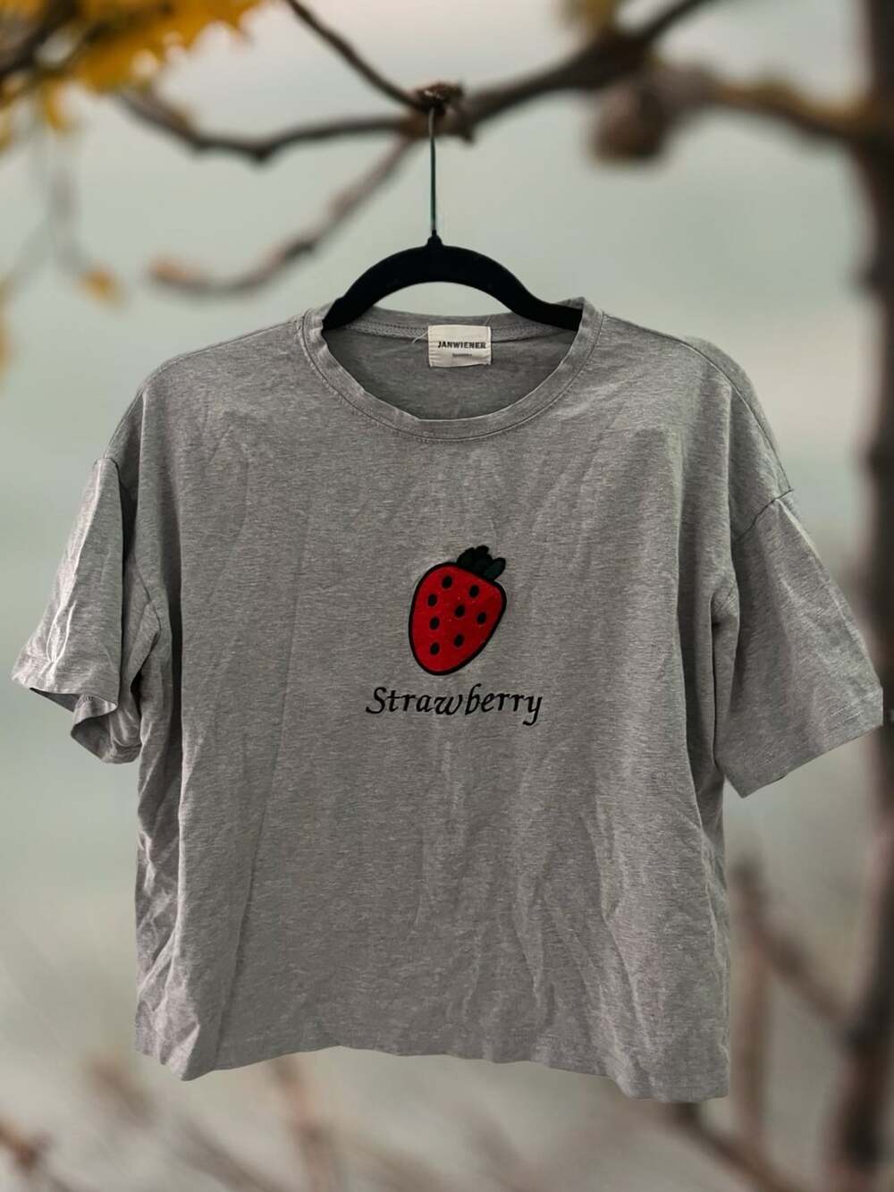 Janwiener Grey Short Sleeve Strawberry Graphic T-Shirt